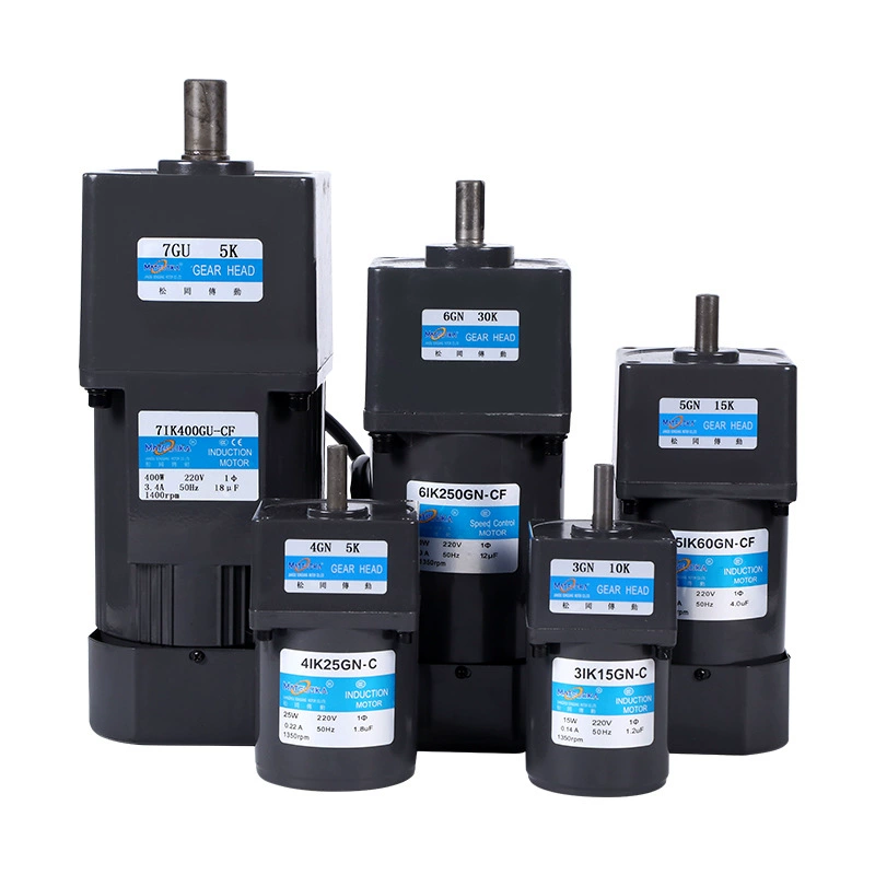 220V Geared Motor Compact Motor 6W 120W 250W