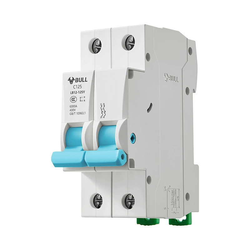 Switch LB12 Compact Miniature Circuit Breaker 2P 63A Circuit Breaker 1