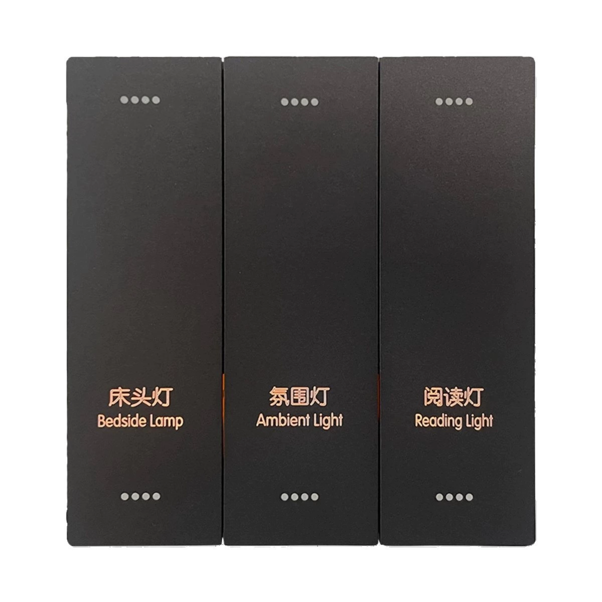 Switch Socket Voice 485